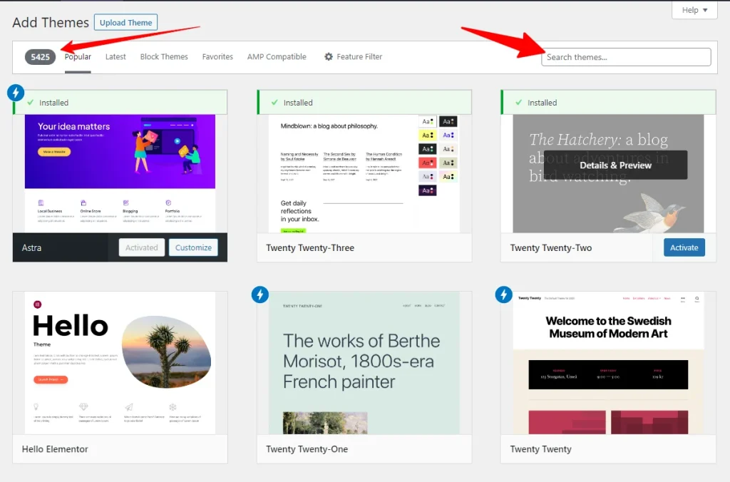 WordPress Add Themes page showing popular themes, installed Astra theme, and search bar to find new themes.