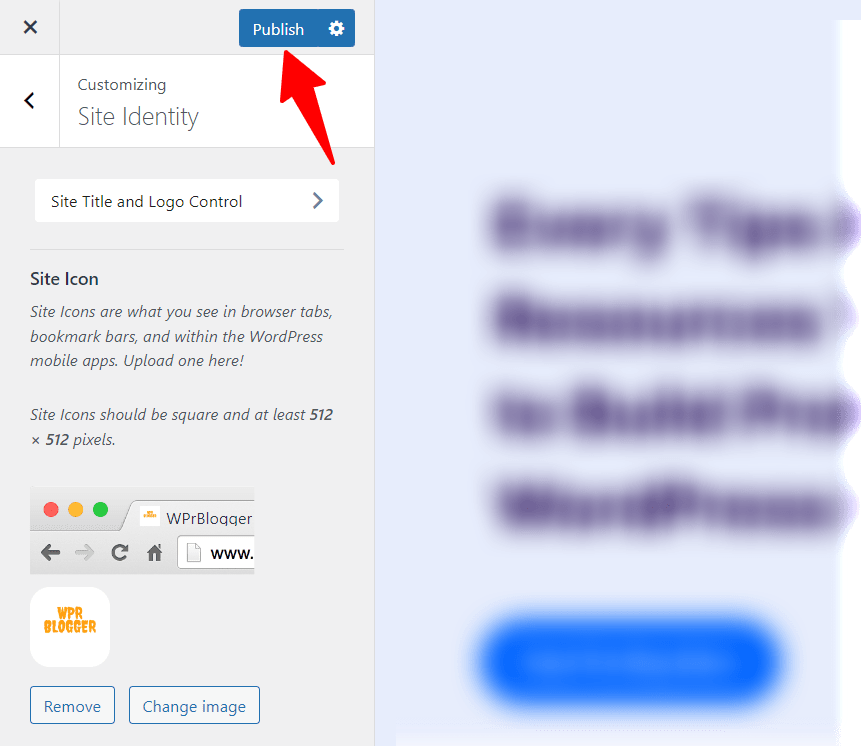 Customizer publish button