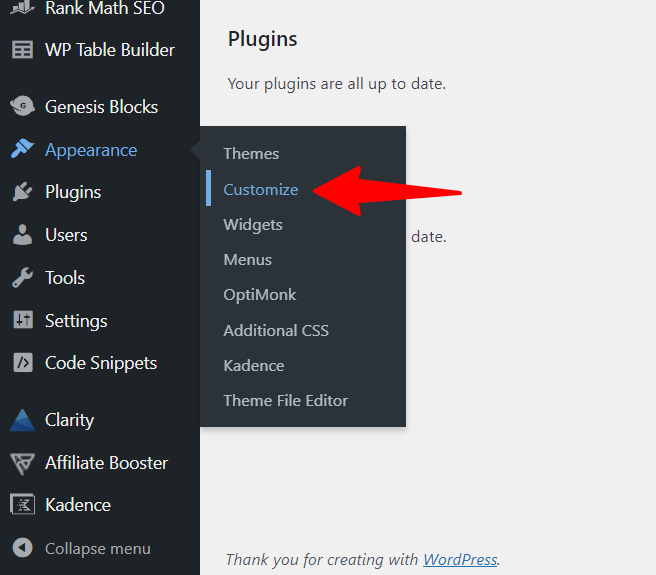 WordPress Customize button