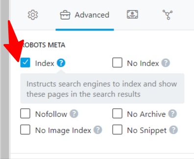 Rank Math Check noindex box