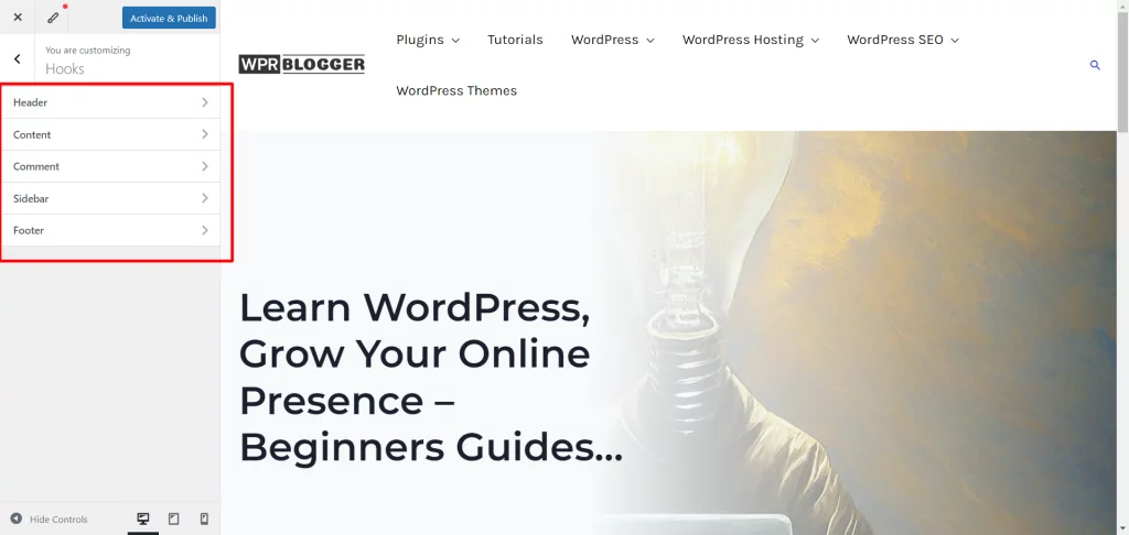 image 4 Astra theme Hook plugin customizer setting page