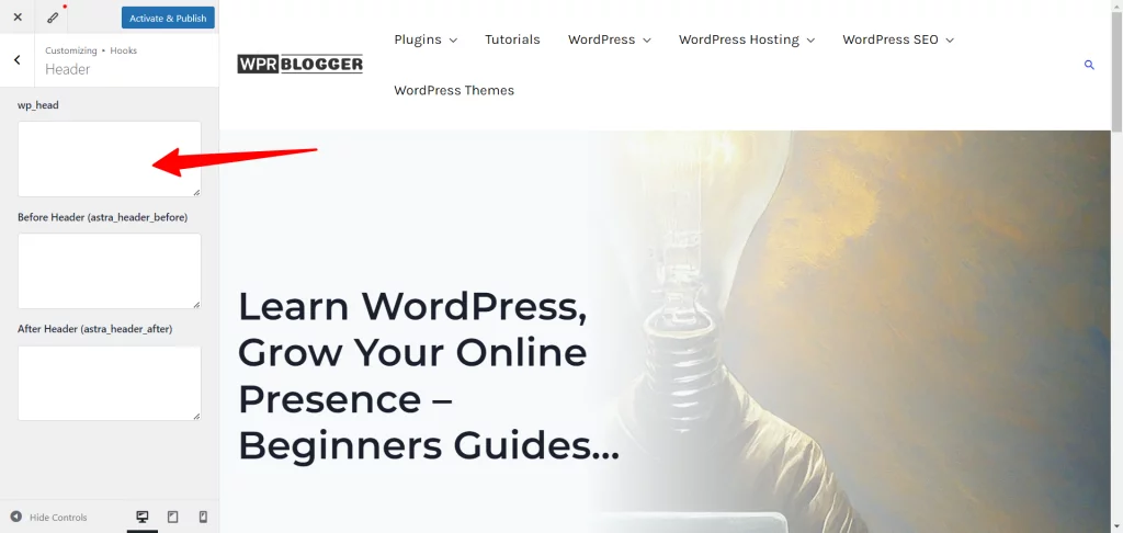 image 5 WordPress customizer - code editor in the Astra Hook plugin in wp_head tag