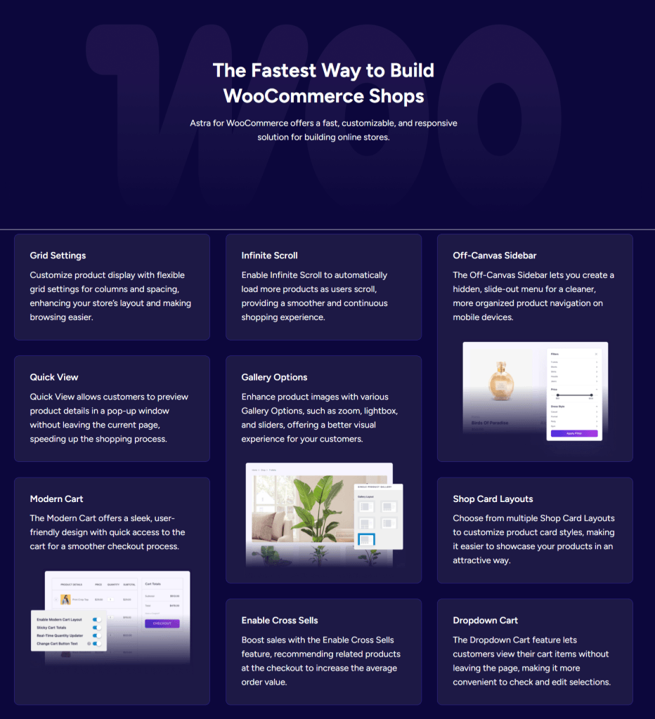 Astra WooCommerce features list