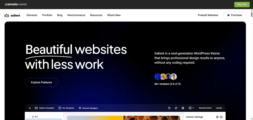 Salient theme demo page on Themeforest