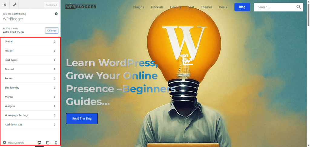 WordPress Customizer panel page