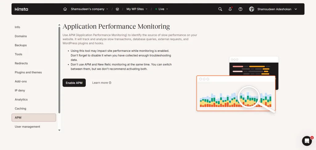 Kinsta APM Tool page