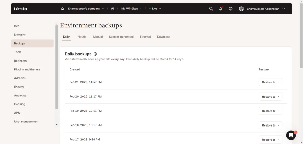 Kinsta backup options
