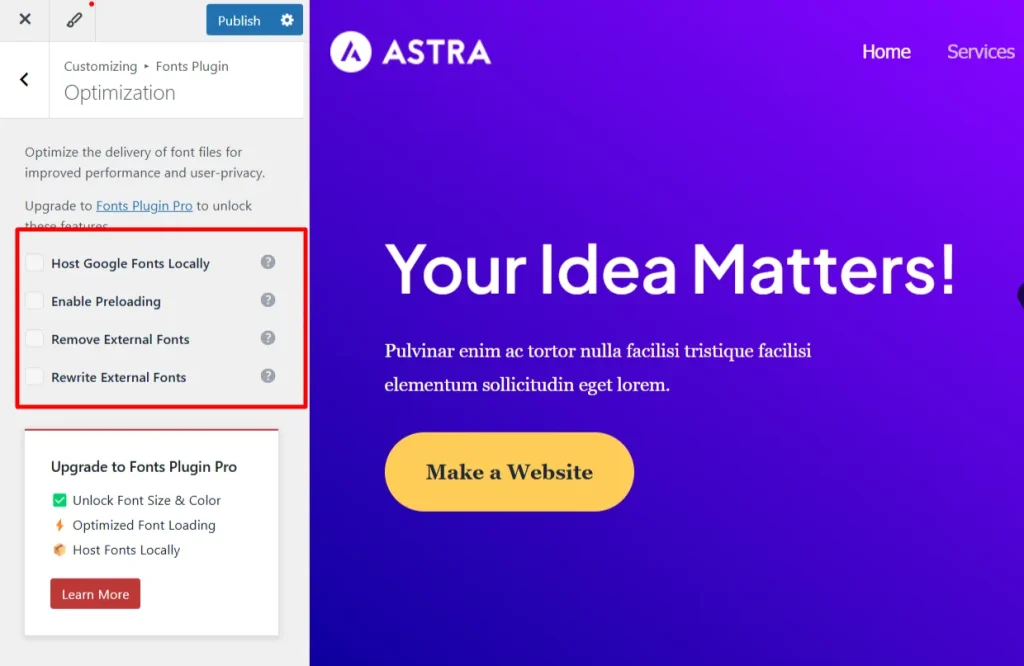 Fonts Plugin Pro optimization settings showing premium features for hosting Google Fonts locally, enabling preloading, and removing external fonts.