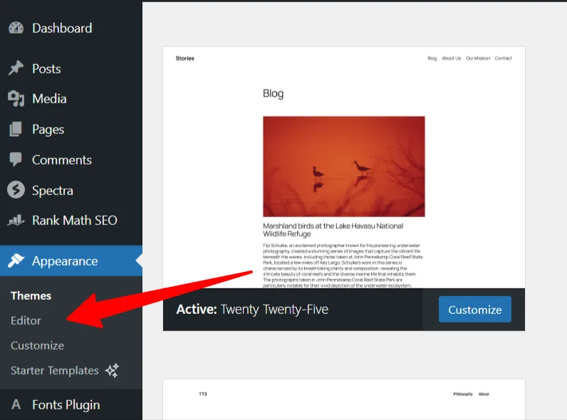 WordPress Appearance menu with the Editor option highlighted, showing Twenty Twenty-Five as the active theme.